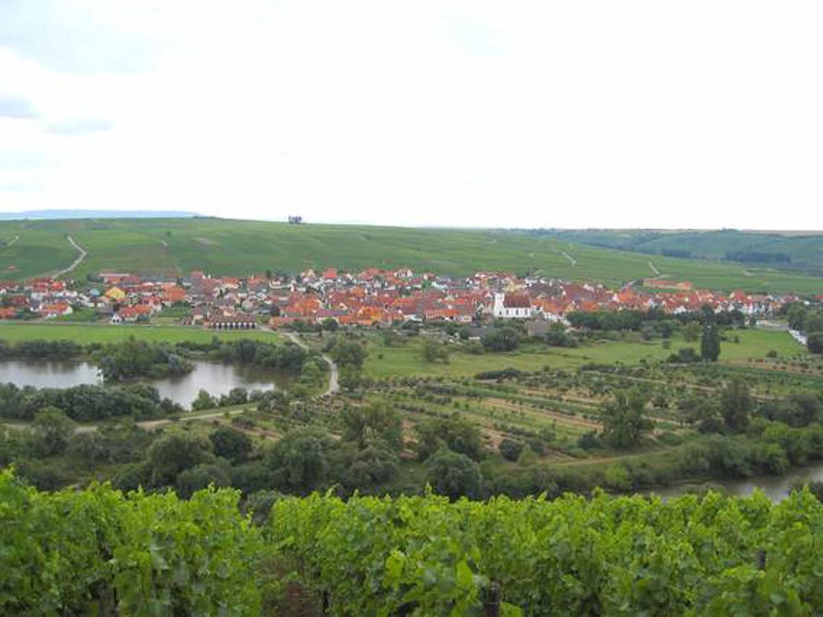 Appartement Ferien- Und Winzerhof Ute Braun à Nordheim am Main Extérieur photo